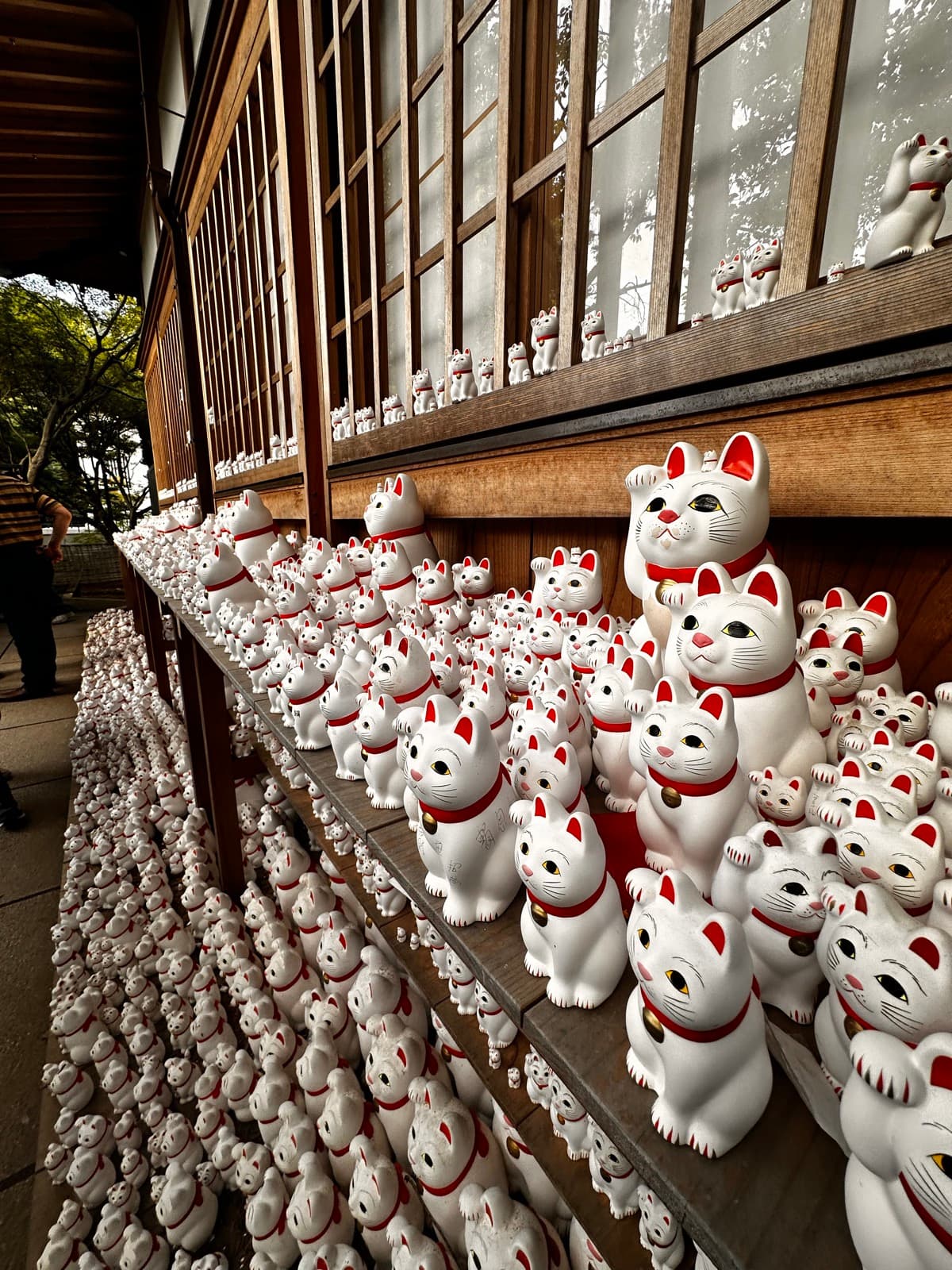 Rows of lucky cat figurines at Gotokuji Temple